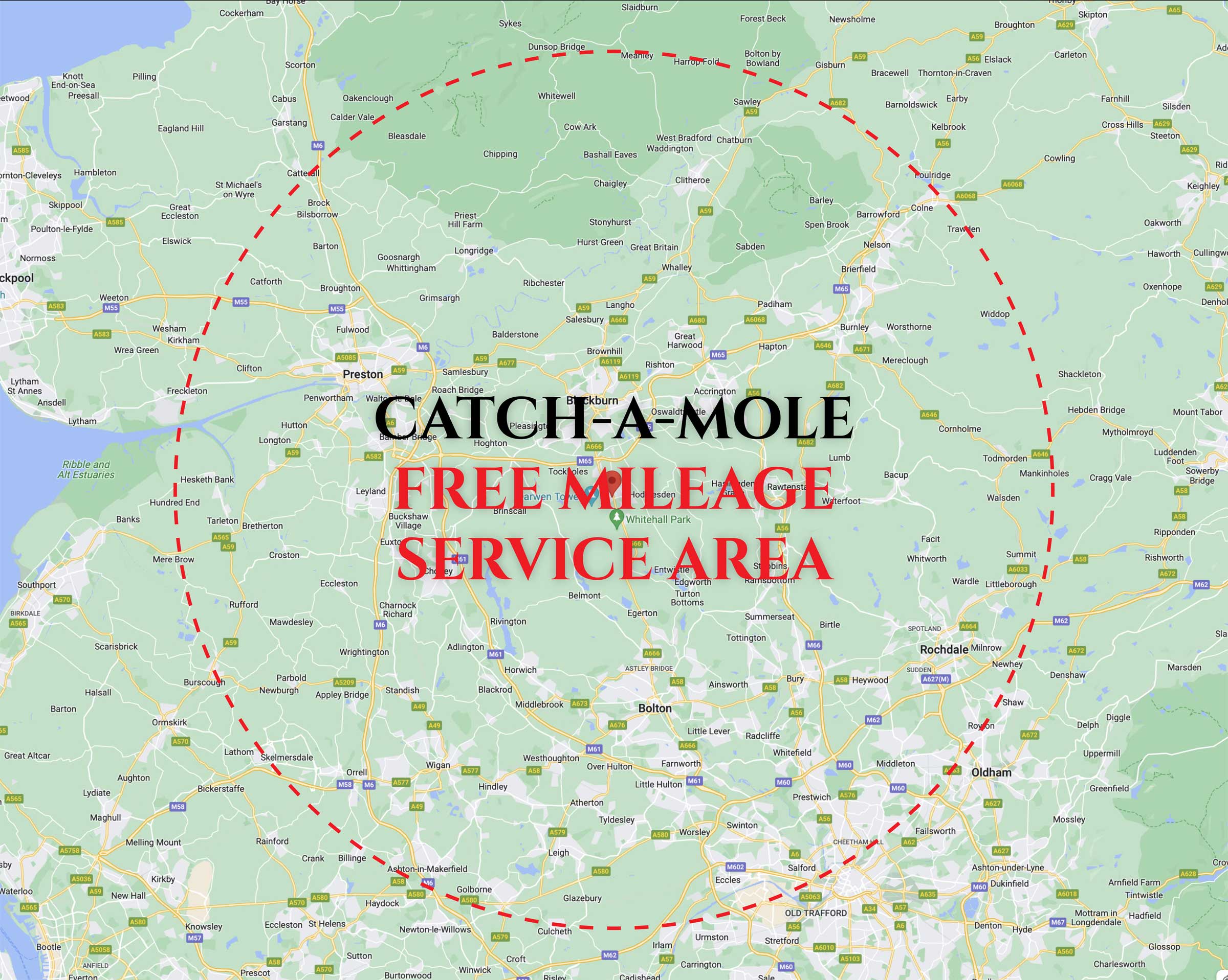 Catch a Mole Service Area